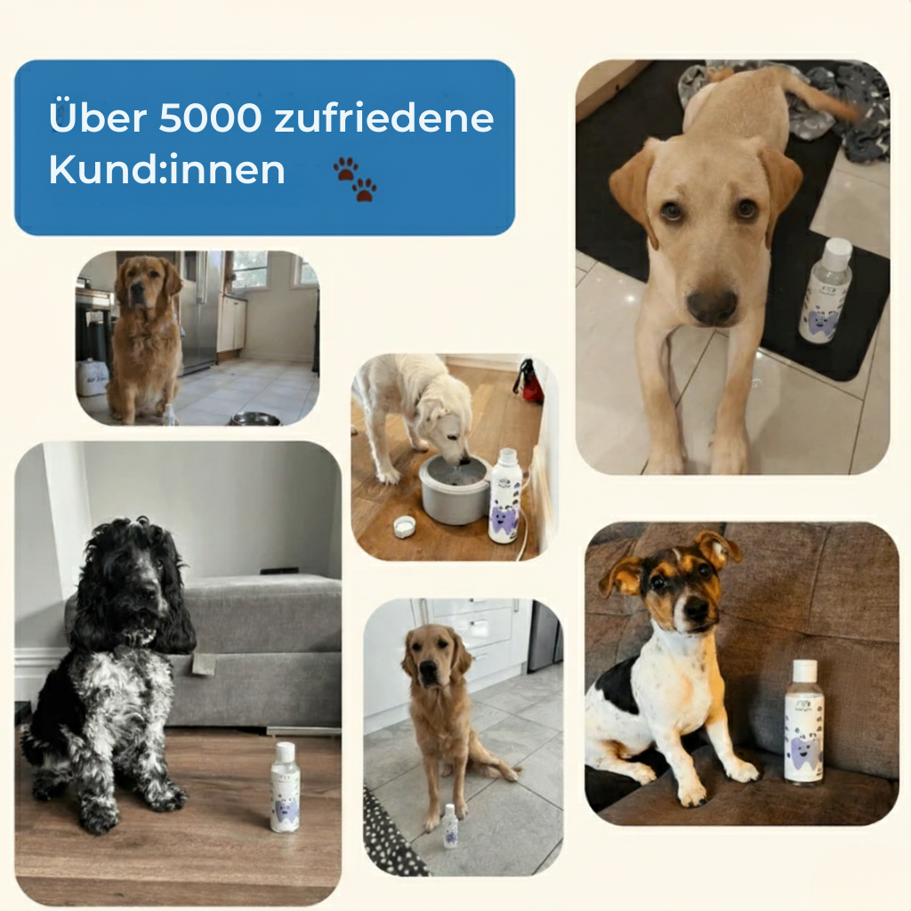Pawsential™ Fresh Dental Drops – Zahnpflege im Trinkwasser