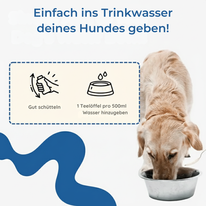 Pawsential™ Fresh Dental Drops – Zahnpflege im Trinkwasser